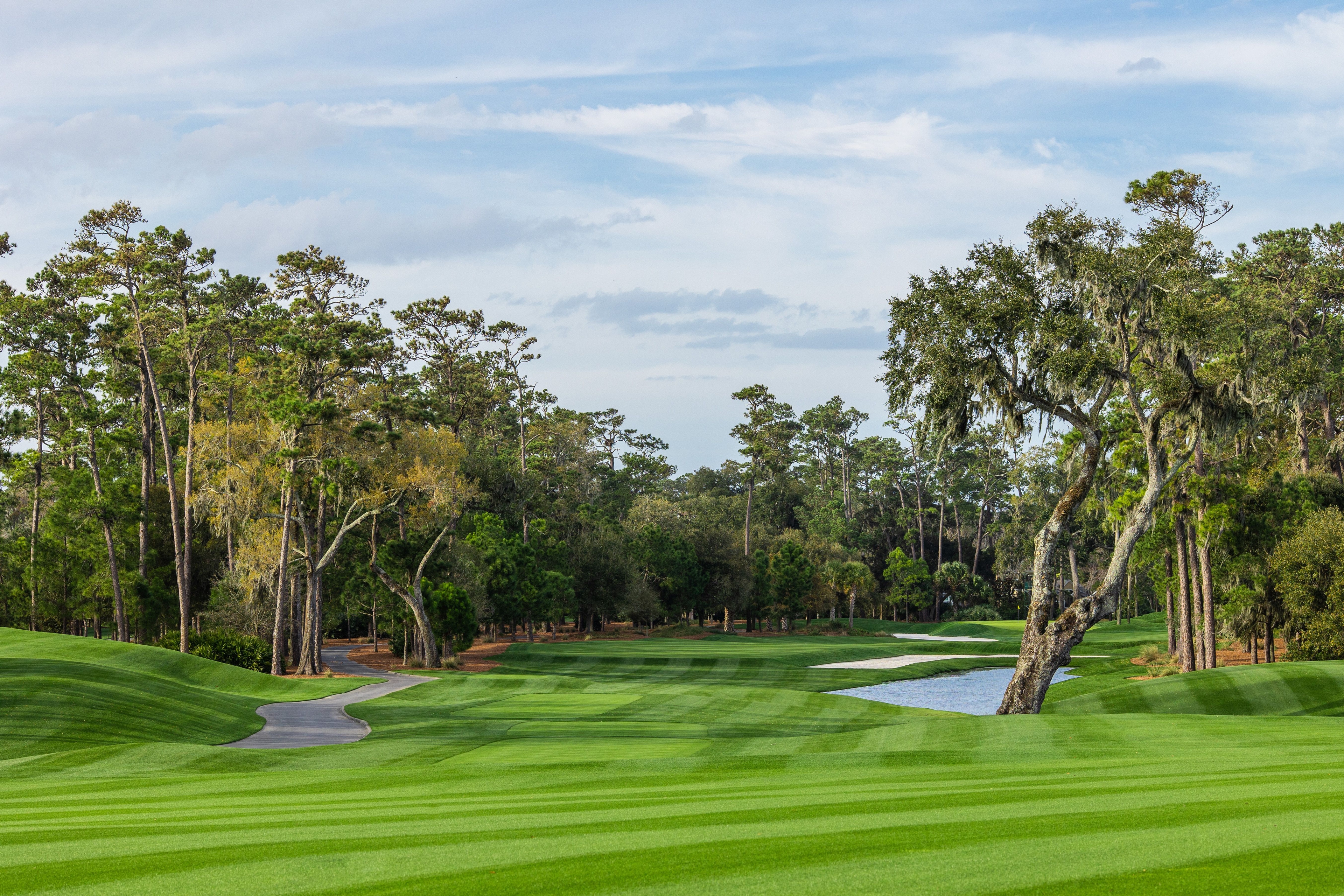 A wide sawgrass-lined golf fairway under a clear sky, with neatly mowed green turf stretching into the distance